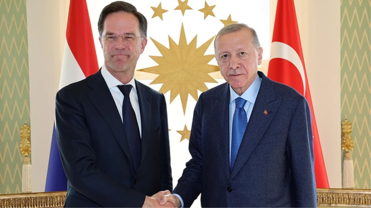 Cumhurbaşkanı Erdoğan ve Hollanda Başbakanı Rutte’den ortak basın toplantısı